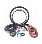 Oil Seals